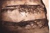 warobjects491-Thumbnail Image.jpg