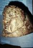 warobjects513-Thumbnail Image.jpg