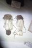 warobjects543-Thumbnail Image.jpg