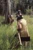 warobjects575-Thumbnail Image.jpg