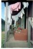 CABINS-Thumbnail Image.jpg