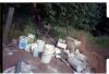 PESTICIDES_MALATHION-Thumbnail Image.jpg
