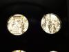 DSC00237-Thumbnail Image.jpg