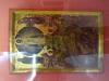 DSC01641-Thumbnail Image.jpg